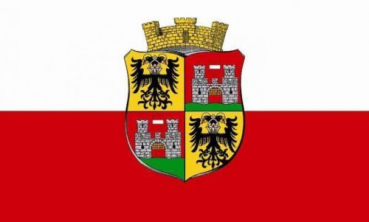 Tischflagge Wiener Neustadt 10x15cm mit Ständer Tischfahne Miniflagge