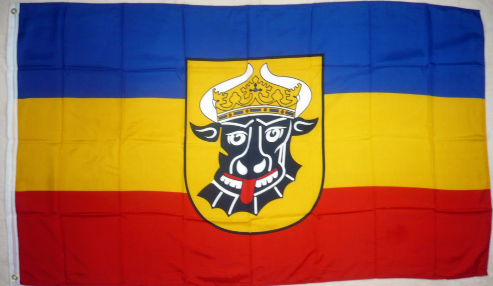 Fahne Flagge 10 x Mecklenburg Ochsenkopf Stockflagge 25 x 40 cm 