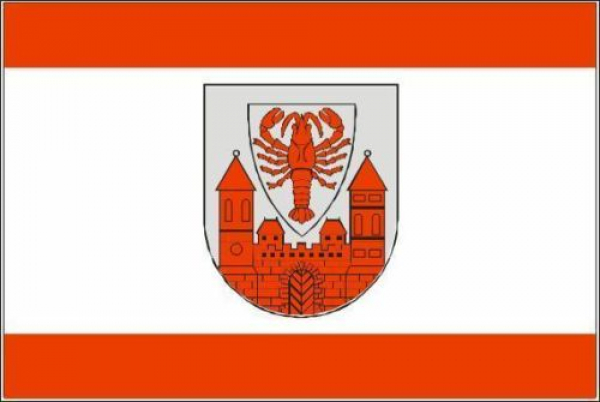 Flagge Fahne Cottbus 30x45 cm Stockflagge Hohlsaum