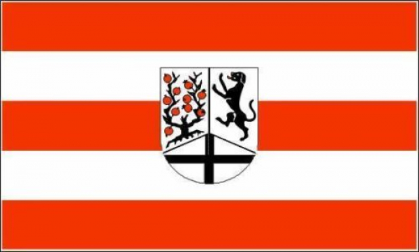 Flagge Fahne Delbrück 30x45 cm Stockflagge Hohlsaum