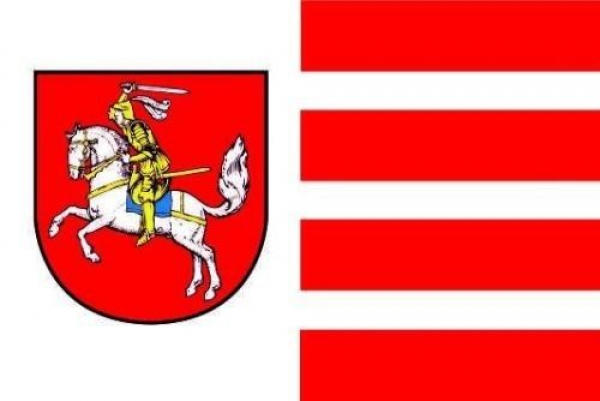 Flagge Fahne Dithmarschen 30x45 cm Stockflagge Hohlsaum