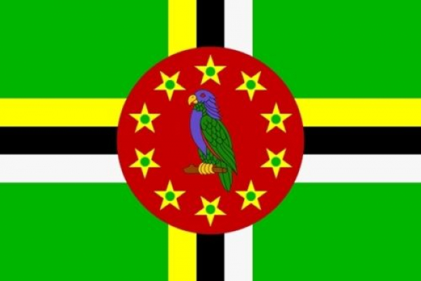 Flagge Fahne Dominica 30x45 cm Stockflagge Hohlsaum