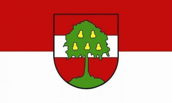 Tischflagge Dornbirn 10x15cm mit Ständer Tischfahne Miniflagge