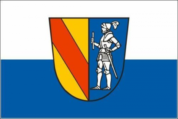 Flagge Fahne Emmendingen 30x45 cm Stockflagge Hohlsaum