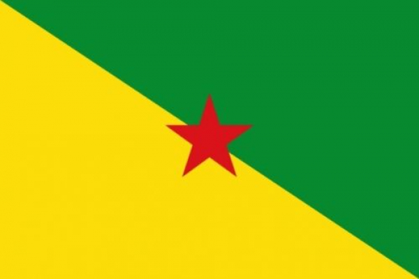 Tischflagge Fransösisch Guyana 10x15cm mit Ständer Tischfahne Miniflagge