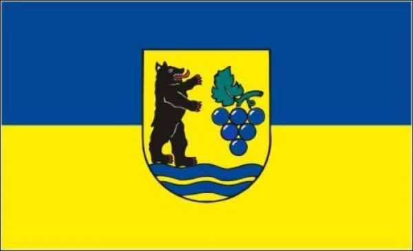 Flagge Fahne Grenzach Wyhlen 90x60 cm *P