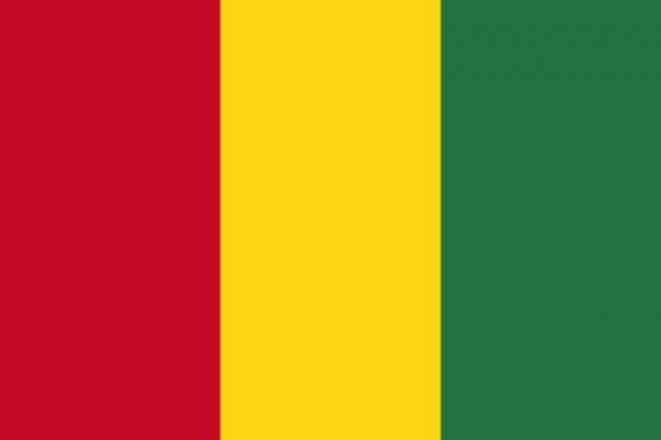 Tischflagge Guinea 10x15cm mit Ständer Tischfahne Miniflagge