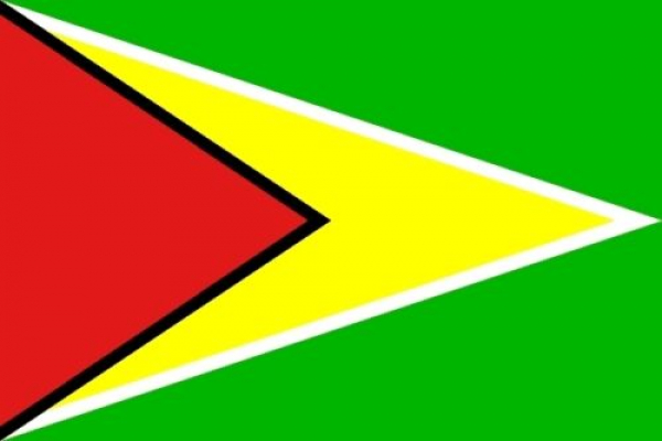 Tischflagge Guyana 10x15cm mit Ständer Tischfahne Miniflagge