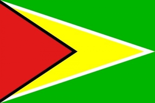 Flagge Fahne Guyana 90x60 cm *P