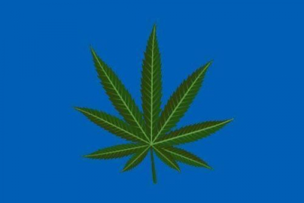 Tischflagge Hanf Cannabis Mariuana blau 10x15cm mit Ständer Tischfahne Miniflagge