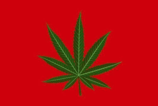 Tischflagge Hanf Cannabis Mariuana rot 10x15cm mit Ständer Tischfahne Miniflagge