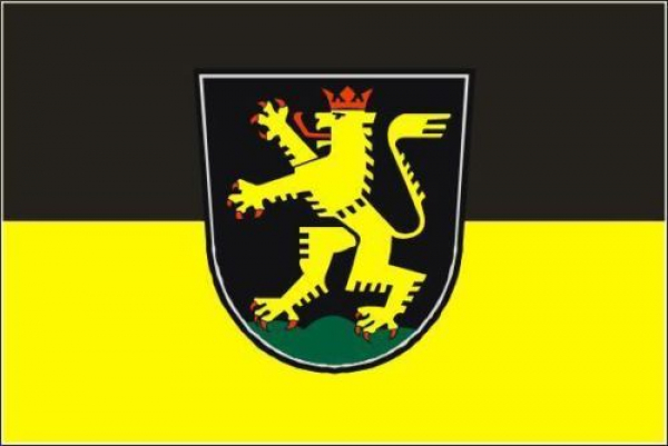 Flagge Fahne Heidelberg 90x60 cm *P