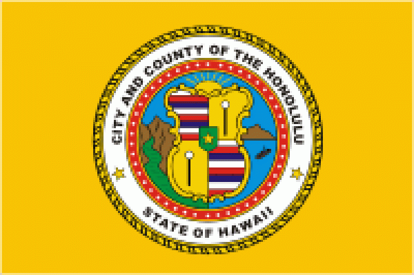 Flagge Fahne Honolulu 90 x 150 cm