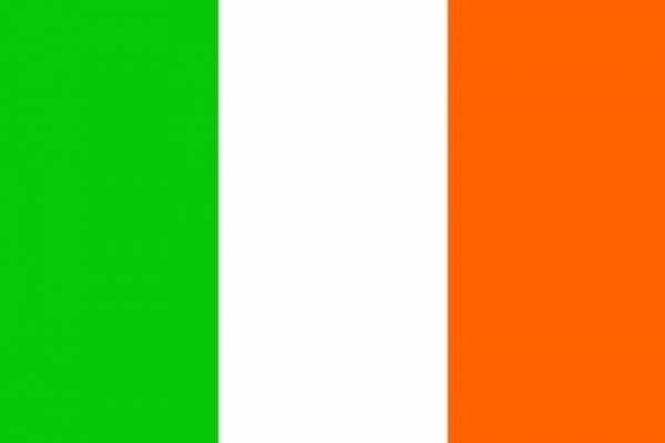 Fahne Flagge Irland 30x45 cm mit Schaft 