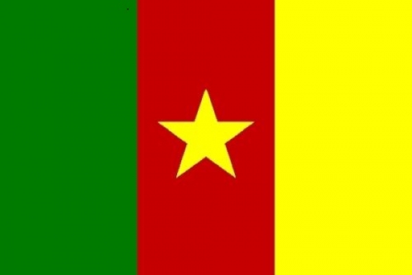 Tischflagge Kamerun 10x15cm mit Ständer Tischfahne Miniflagge