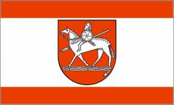 Flagge Fahne Landkreis Börde 30x45 cm Stockflagge Hohlsaum