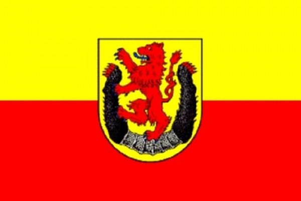 Flagge Fahne Landkreis Diepholz 90x60 cm *P