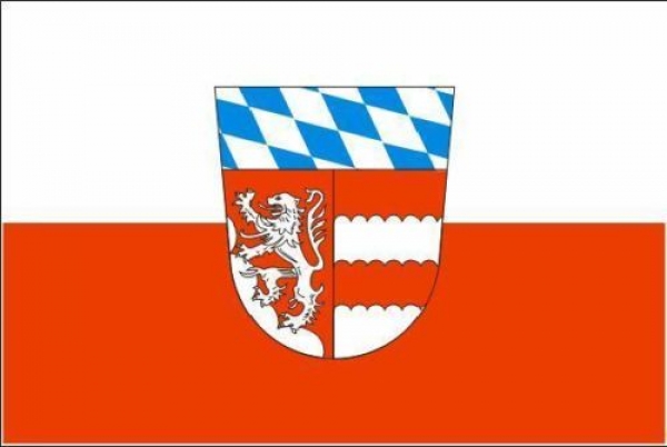 Flagge Fahne Landkreis Dingolfing Landau 30x45 cm Stockflagge Hohlsaum