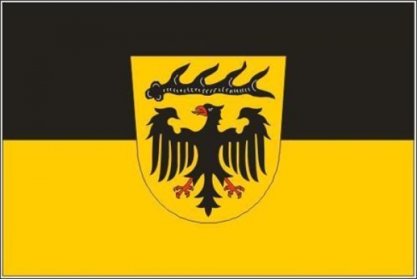 Flagge Fahne Landkreis Ludwigsburg 90x60 cm *P